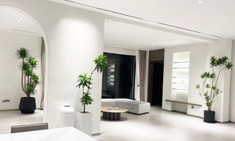 �����̻�ֲ������